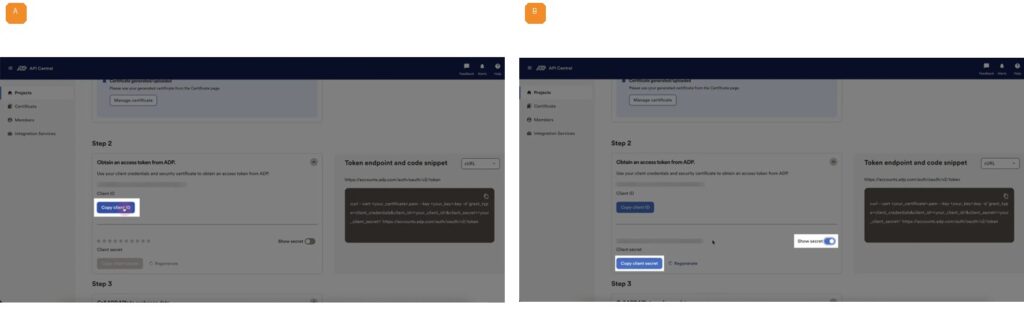 A. Copy the Client ID   B. Reveal and copy the Client Secret (2/2)