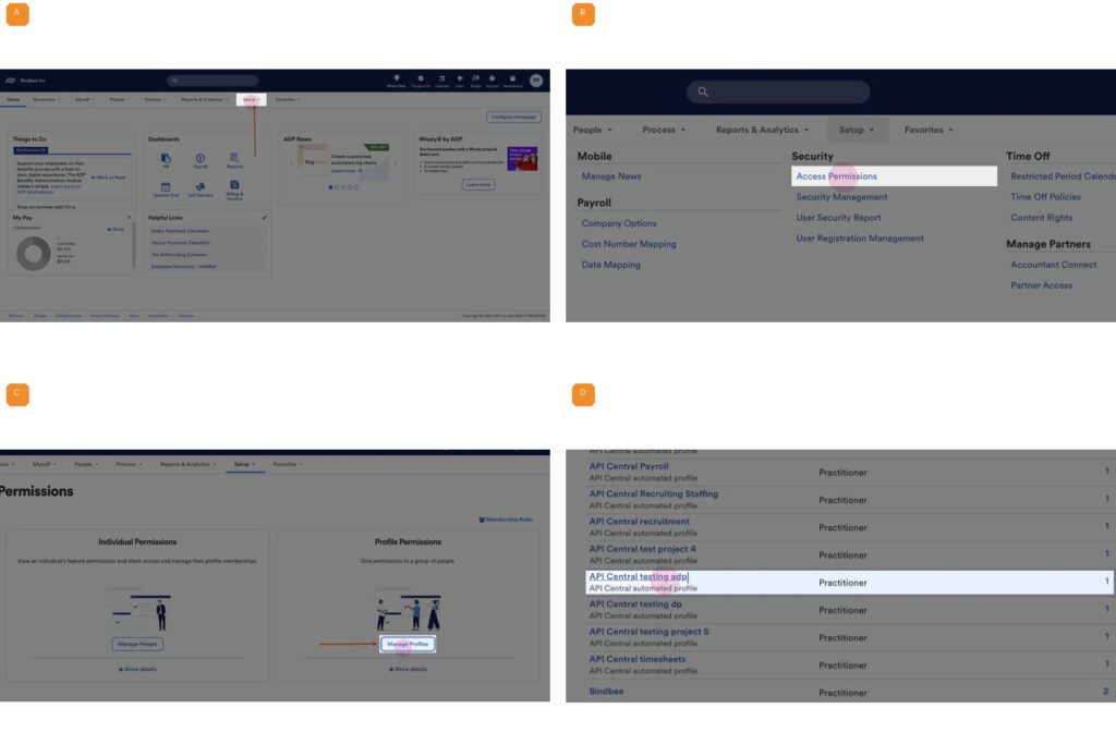 A. Open Setup   B. Access Permissions   C. Manage Profiles   D. Select the API Central profile (1/4)